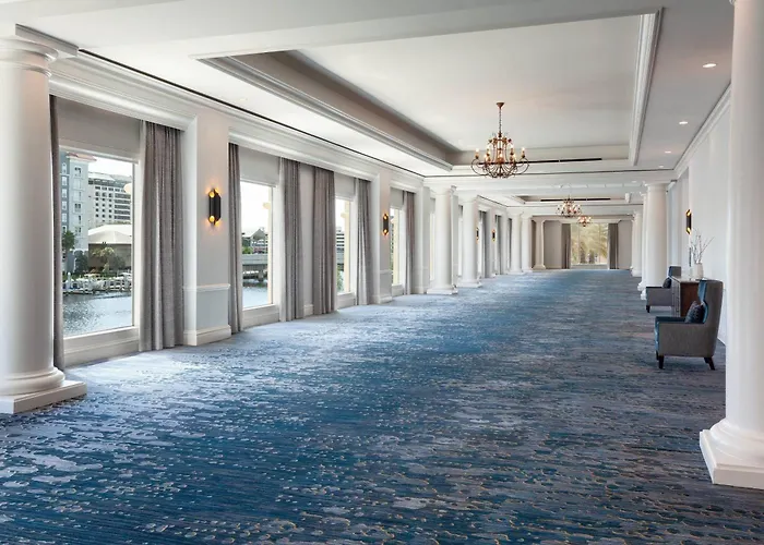 Top Tampa Hotels Near the Cruise Port