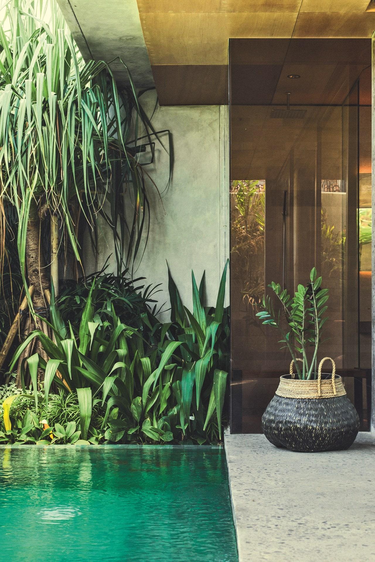 Canggu  Bali | Insider guide